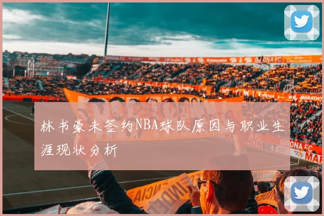 林书豪未签约NBA球队原因与职业生涯现状分析