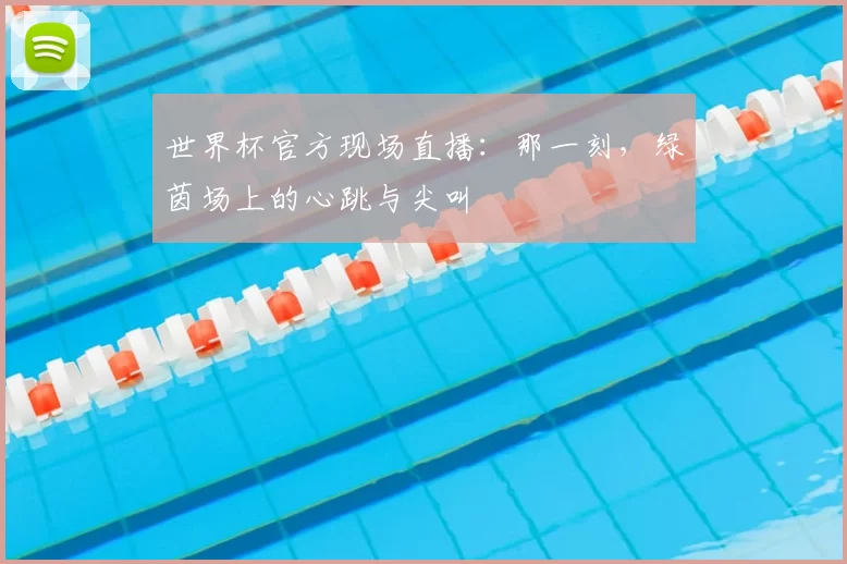 世界杯官方现场直播:那一刻,绿茵场上的心跳与尖叫