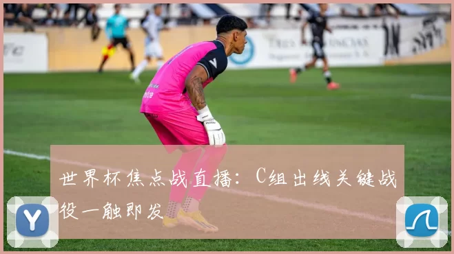 世界杯焦点战直播:C组出线关键战役一触即发