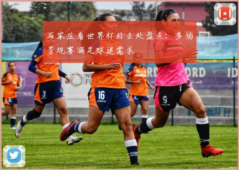 石家庄看世界杯好去处盘点:多场景观赛满足球迷需求