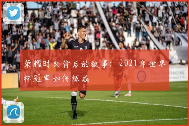 荣耀时刻背后的故事:2021年世界杯冠军如何炼成