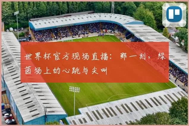 世界杯官方现场直播:那一刻,绿茵场上的心跳与尖叫