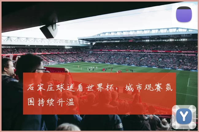 石家庄球迷看世界杯,城市观赛氛围持续升温