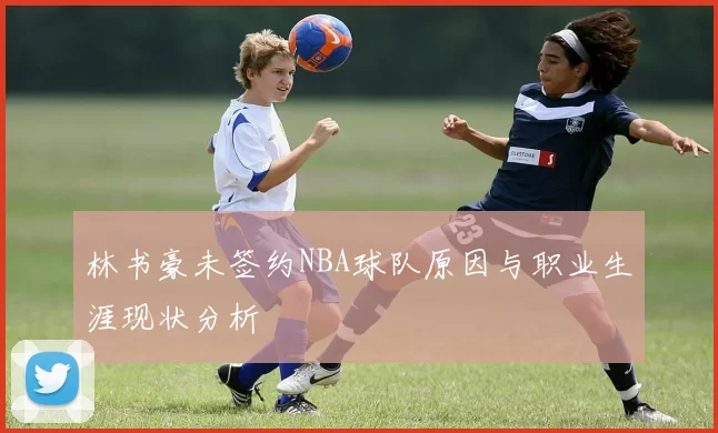 林书豪未签约NBA球队原因与职业生涯现状分析