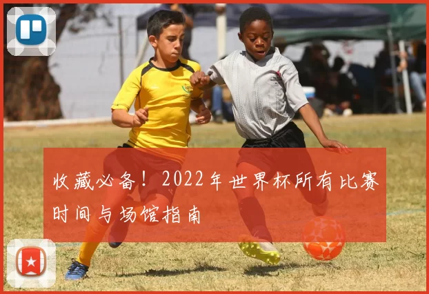 收藏必备！2022年世界杯所有比赛时间与场馆指南
